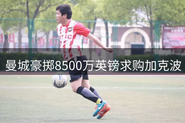 曼城豪掷8500万英镑求购加克波 红军需寻替代人选